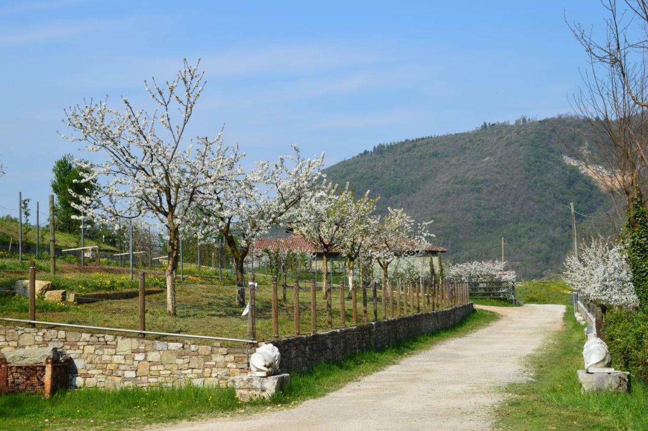 Cascina Valsorda Bed & Breakfast Concesio Luaran gambar