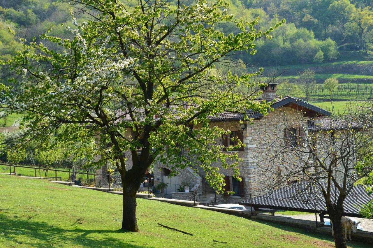 Cascina Valsorda Bed & Breakfast Concesio Luaran gambar